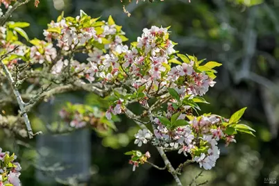 1195 Congress Valley Road, Napa, CA 94558 - Photo 93