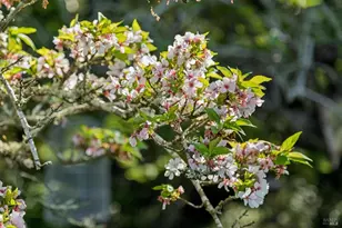 1195 Congress Valley Rd, Napa, CA 94558 - Photo 93