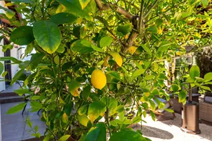 3860 N Silverado Trail, Calistoga, CA 94515 - Photo 47