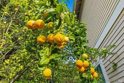 134 Moonlight Drive, Healdsburg, CA 95448 - Photo 53