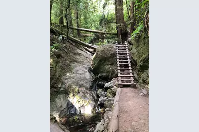 [Address not provided], Stinson Beach, CA 94970 - Photo 43