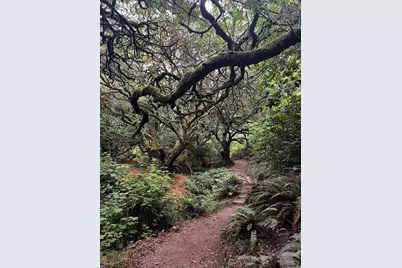 [Address not provided], Stinson Beach, CA 94970 - Photo 41