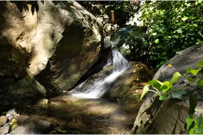 [Address not provided], Stinson Beach, CA 94970 - Photo 45