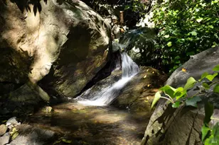 [Address not provided], Stinson Beach, CA 94970 - Photo 45