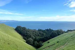 [Address not provided], Stinson Beach, CA 94970 - Photo 47