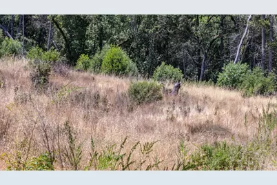 5364 Mill Creek Road, Healdsburg, CA 95448 - Photo 31