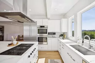 65 Valley View Ave, San Rafael, CA 94901 - Photo 39