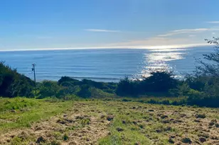 41301 Seascape Dr, Westport, CA 95488 - Photo 39