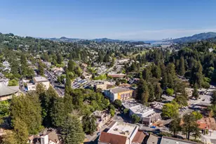 29 Bayview Ave, Mill Valley, CA 94941 - Photo 49