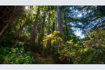 5 Viox Way, San Rafael, CA 94901 - Photo 65