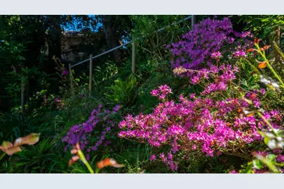 5 Viox Way, San Rafael, CA 94901 - Photo 69