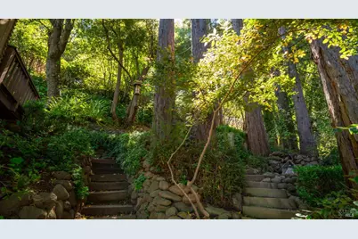 5 Viox Way, San Rafael, CA 94901 - Photo 59