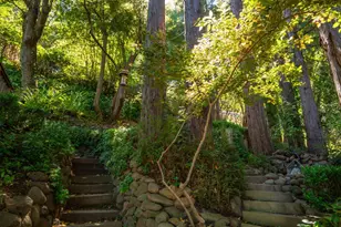 5 Viox Way, San Rafael, CA 94901 - Photo 59