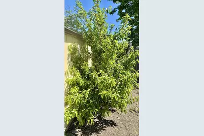 1836 Hearn Avenue, Santa Rosa, CA 95407 - Photo 21