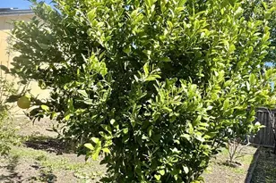 1836 Hearn Ave, Santa Rosa, CA 95407 - Photo 19