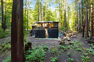 16125 Bittner Rd, Occidental, CA 95465 - Photo 29