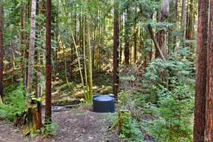 16125 Bittner Rd, Occidental, CA 95465 - Photo 21