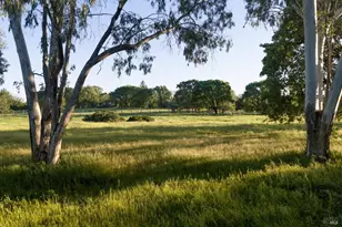 195 Fisher Ln, Sonoma, CA 95476 - Photo 1