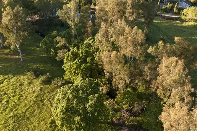 195 Fisher Lane, Sonoma, CA 95476 - Photo 21