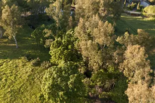 195 Fisher Ln, Sonoma, CA 95476 - Photo 21