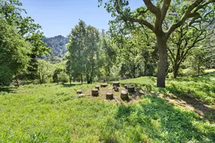 17 Madrone Ave, Woodacre, CA 94973 - Photo 61