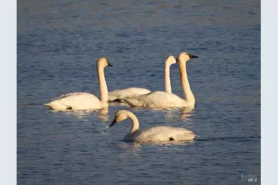 3034 State Line Road, Dorris, CA 96023 - Photo 37