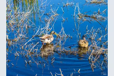 3034 State Line Road, Dorris, CA 96023 - Photo 33