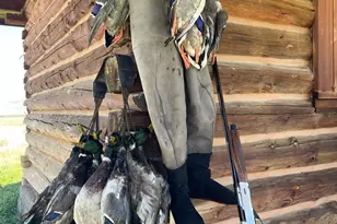 3034 State Line Rd, Dorris, CA 96023 - Photo 41