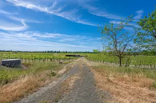 590 Pleasant Ave, Santa Rosa, CA 95403 - Photo 69