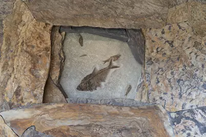 40445 Tide Pool, The Sea Ranch, CA 95497 - Photo 23