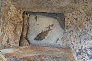 40445 Tide Pool, The Sea Ranch, CA 95497 - Photo 23