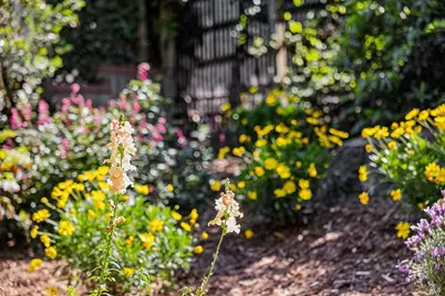 47 Main Drive, San Rafael, CA 94901 - Photo 79