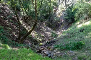 18900 Armstrong Woods Rd, Guerneville, CA 95446 - Photo 37