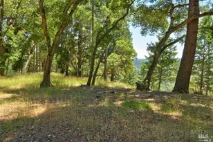 18900 NW Armstrong Woods Rd, Guerneville, CA 95446 - Photo 7