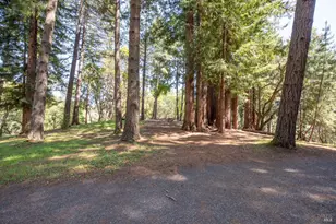 18900 Armstrong Woods Rd, Guerneville, CA 95446 - Photo 39