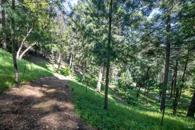 18900 Armstrong Woods Road, Guerneville, CA 95446 - Photo 23