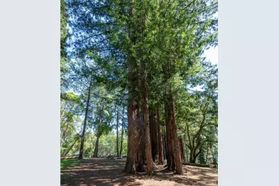 18900 Armstrong Woods Road, Guerneville, CA 95446 - Photo 45