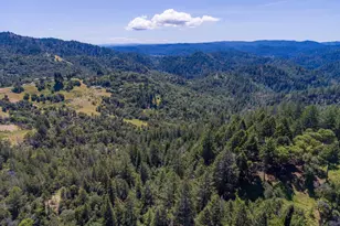 18900 Armstrong Woods Rd, Guerneville, CA 95446 - Photo 51
