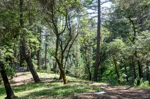 18900 Armstrong Woods Rd, Guerneville, CA 95446 - Photo 47