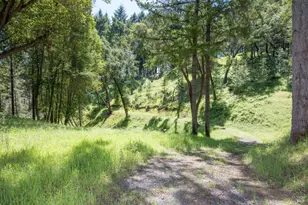 18900 Armstrong Woods Rd, Guerneville, CA 95446 - Photo 17