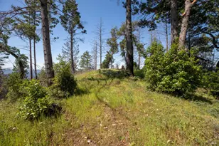 18900 Armstrong Woods Rd, Guerneville, CA 95446 - Photo 59
