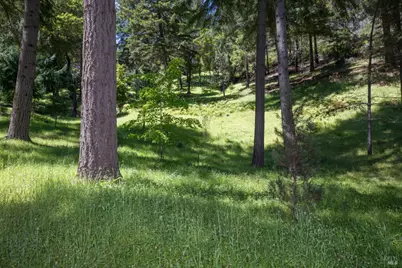 18900 Armstrong Woods Road, Guerneville, CA 95446 - Photo 21