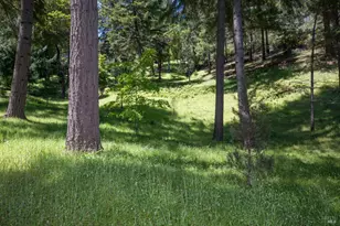 18900 Armstrong Woods Rd, Guerneville, CA 95446 - Photo 21