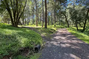 18900 Armstrong Woods Rd, Guerneville, CA 95446 - Photo 19