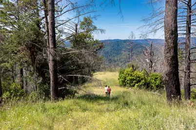 18900 Armstrong Woods Road, Guerneville, CA 95446 - Photo 15