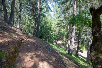 18900 Armstrong Woods Road, Guerneville, CA 95446 - Photo 29