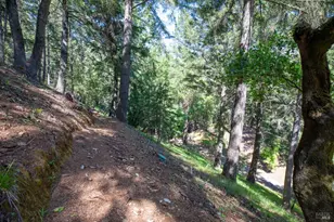 18900 Armstrong Woods Rd, Guerneville, CA 95446 - Photo 29