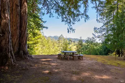 18900 Armstrong Woods Road, Guerneville, CA 95446 - Photo 5