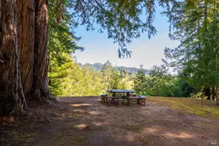 18900 Armstrong Woods Rd, Guerneville, CA 95446 - Photo 5