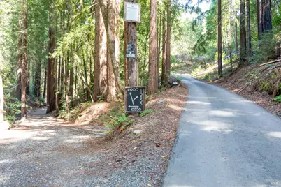 18900 Armstrong Woods Road, Guerneville, CA 95446 - Photo 3